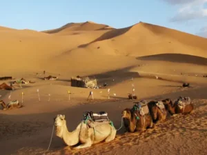 Escursione privata a Tangeri da Tarifa