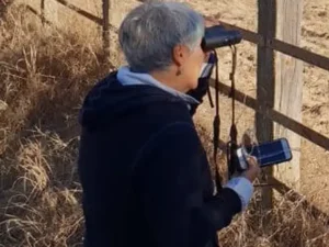 Escursione privata a Doñana