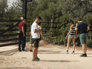 Escursione a Doñana da Siviglia 2 giorni e 1 notte