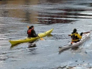 Tour privato in kayak intorno a Siviglia - Canoa Siviglia
