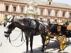Siviglia a cavallo e in carrozza - Tour a cavallo e in carrozza