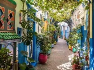 Tangeri in 2 giorni: escursione da Tarifa