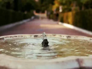 Visita guidata del Real Alcázar e della Cattedrale di Siviglia